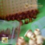 Мисочки, система Никот, Франция - магазин пчеловодства ПчелоМаркет