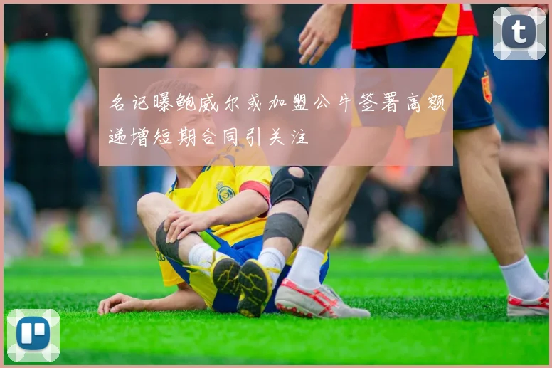 名记曝鲍威尔或加盟公牛签署高额递增短期合同引关注